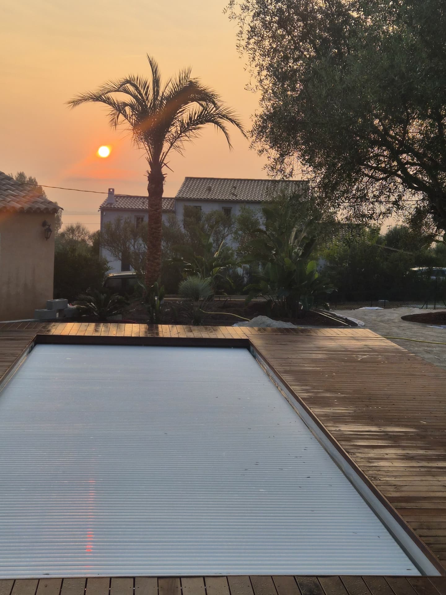 Piscine, terrasse bois et palmier au coucher du soleil