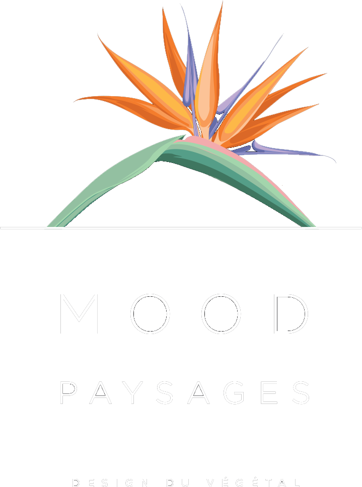 Mood Paysages